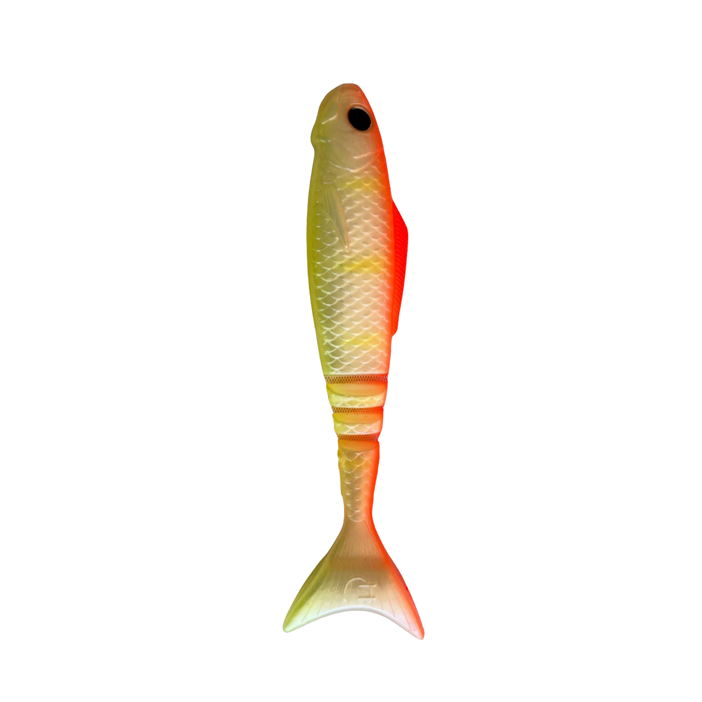 Lunar Wedgetail - Phoenix (3PK)