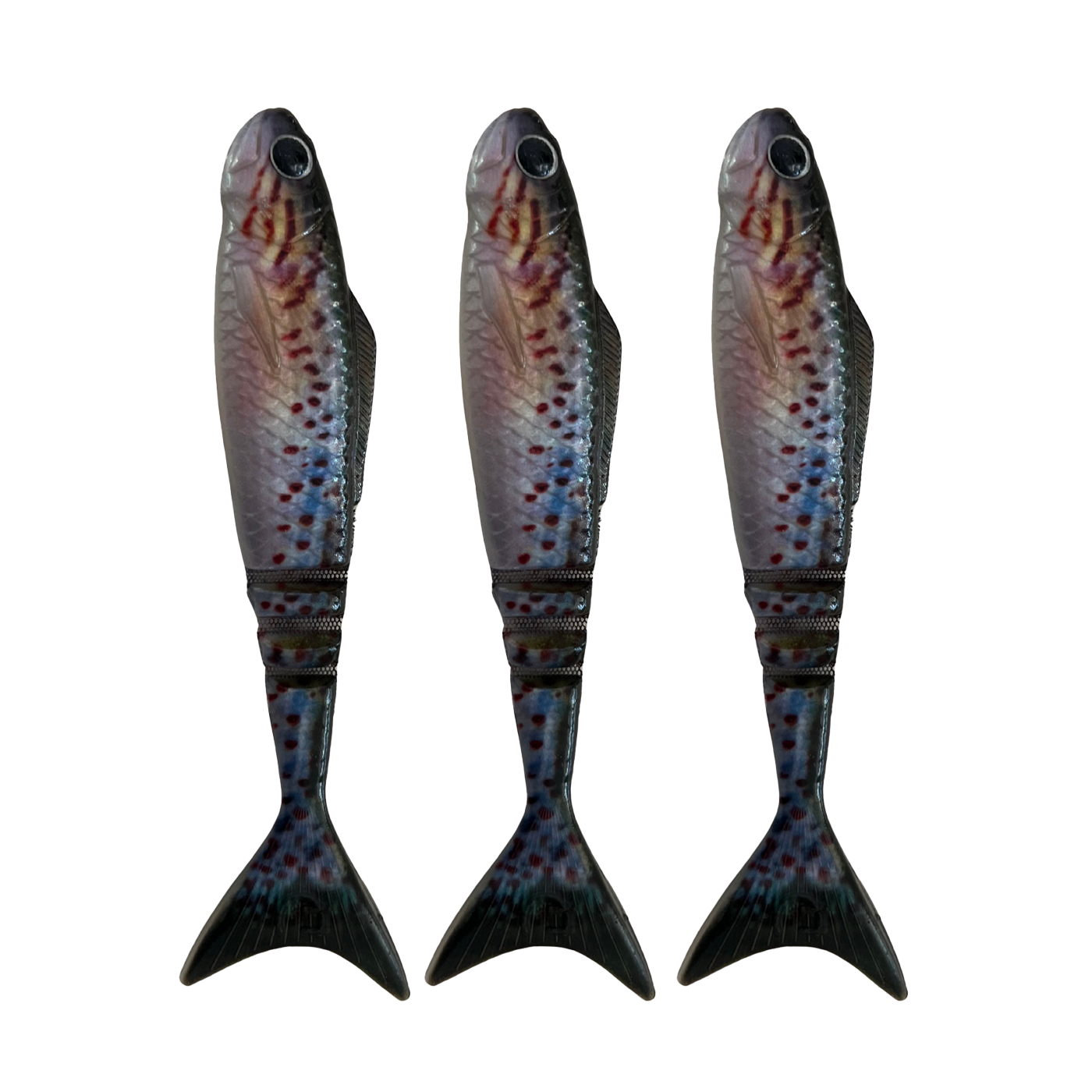 Lunar Wedgetail - Gudgeon (3PK)