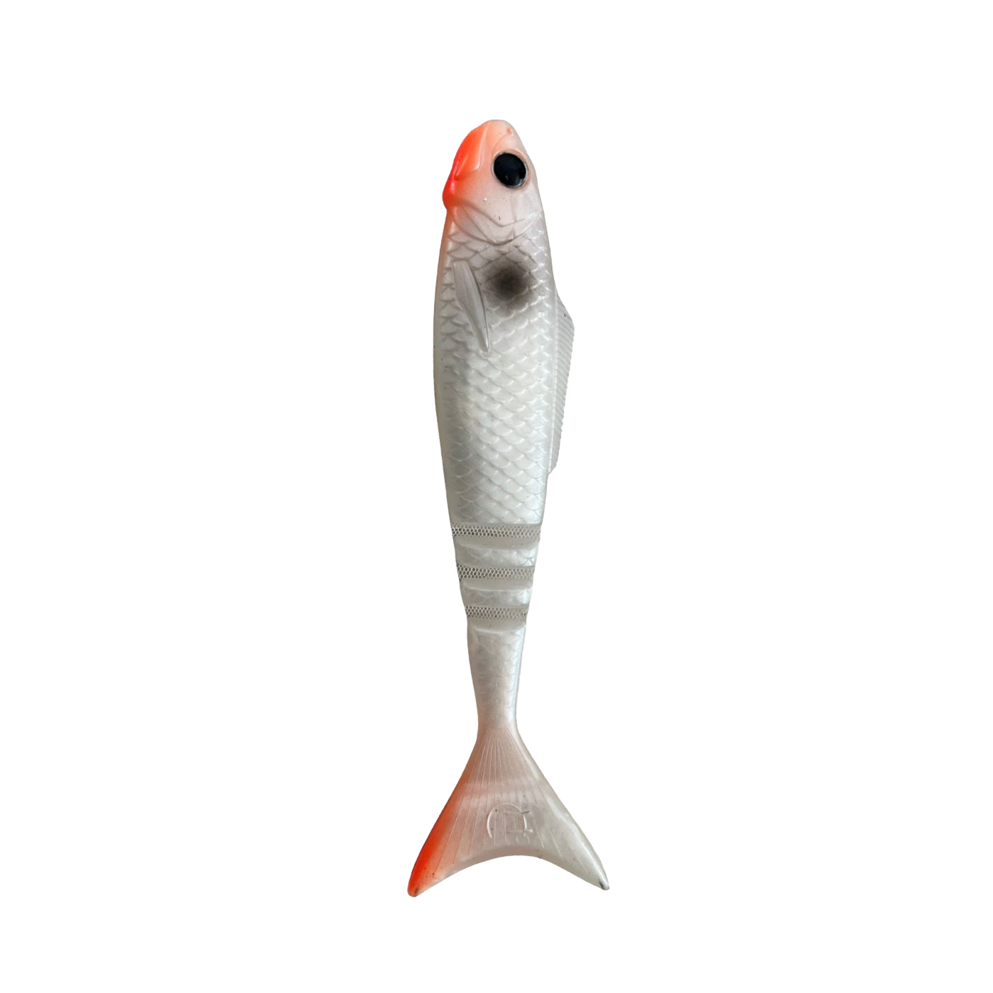 Lunar Wedgetail - Pearl (3PK)
