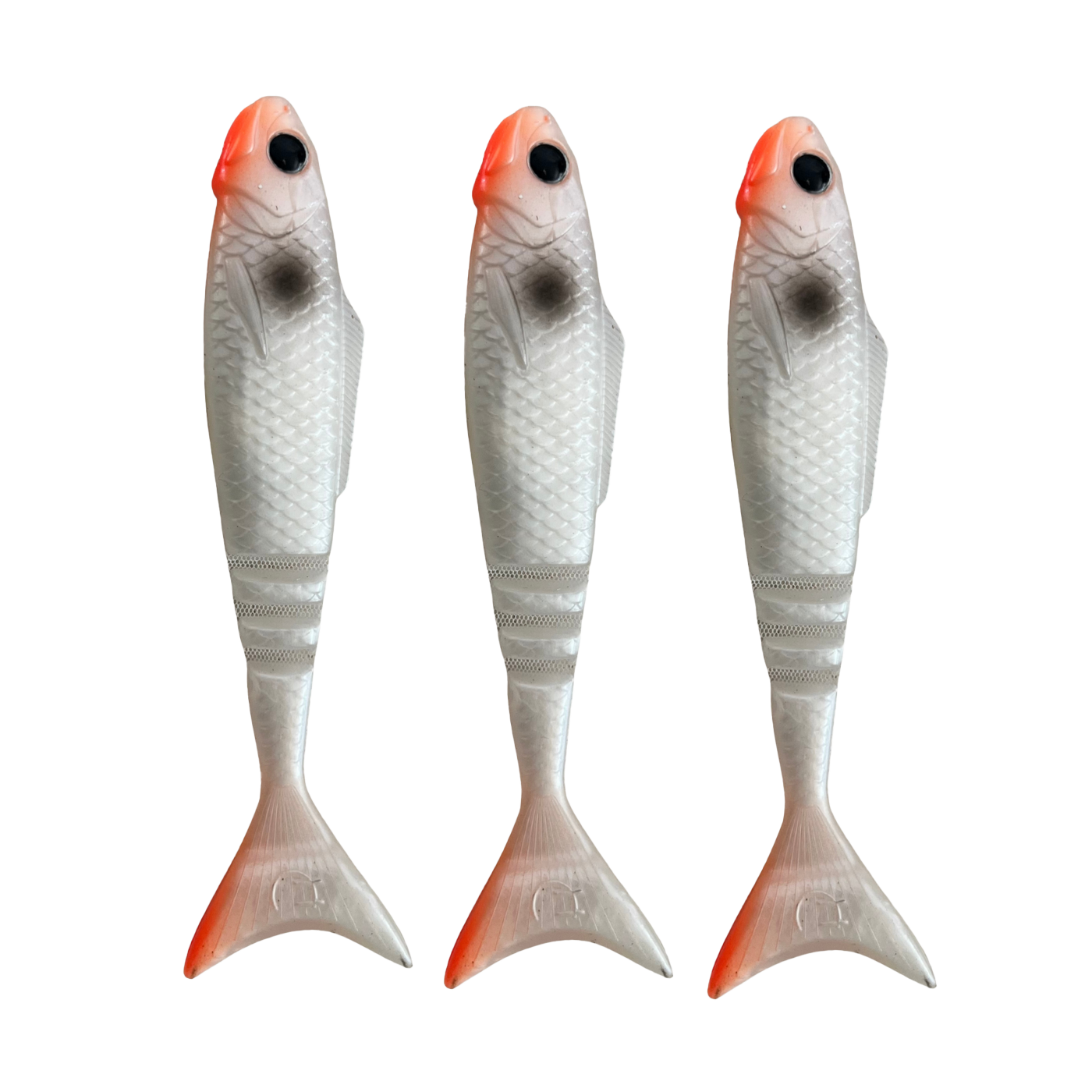 Lunar Wedgetail - Pearl (3PK)
