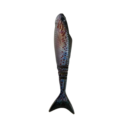 Lunar Wedgetail - Gudgeon (3PK)