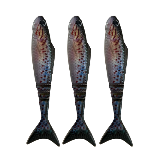 Lunar Wedgetail - Gudgeon (3PK)